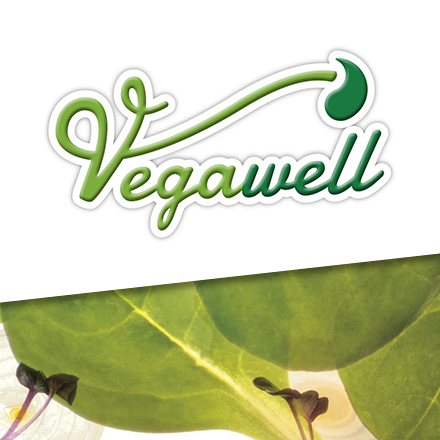 Vegawell_Logo_Beitragsbild_V4
